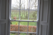 New Windows from inside Kildare farmhouse